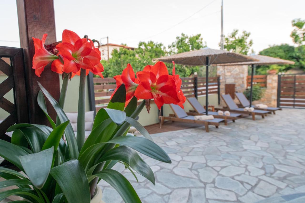 Villa Filyra Kato Gatzea Esterno foto